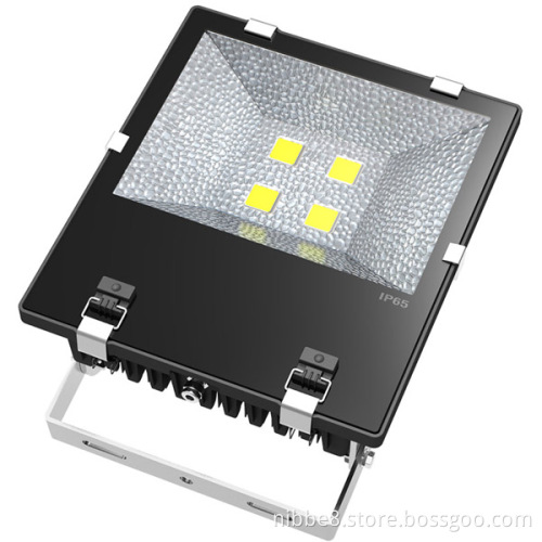 200W COB IP67 LED Flood Light